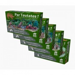Pack GAULOIS & BRITONS (II-11 & II-53 pour DBA 3.0)