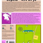Sépeia 494 av JC